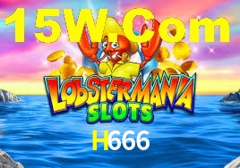 Programa VIP H666